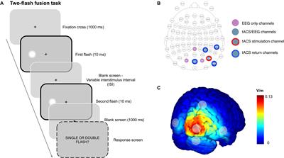 The Effect of Alpha tACS on the Temporal Resolution of Visual Perception